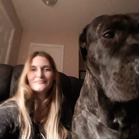 LIVE SHARE SHOW FLYER - Picture 7 of 16